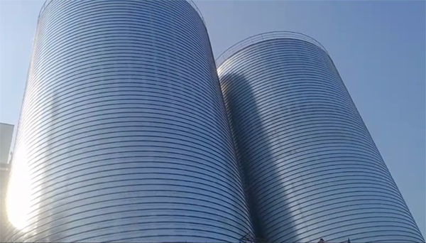 兴城2座混凝土高架卷板仓